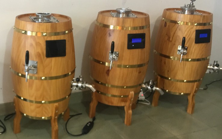 Romania 30L professional home beer brewing equipment of SUS304 China factory 2020 W1