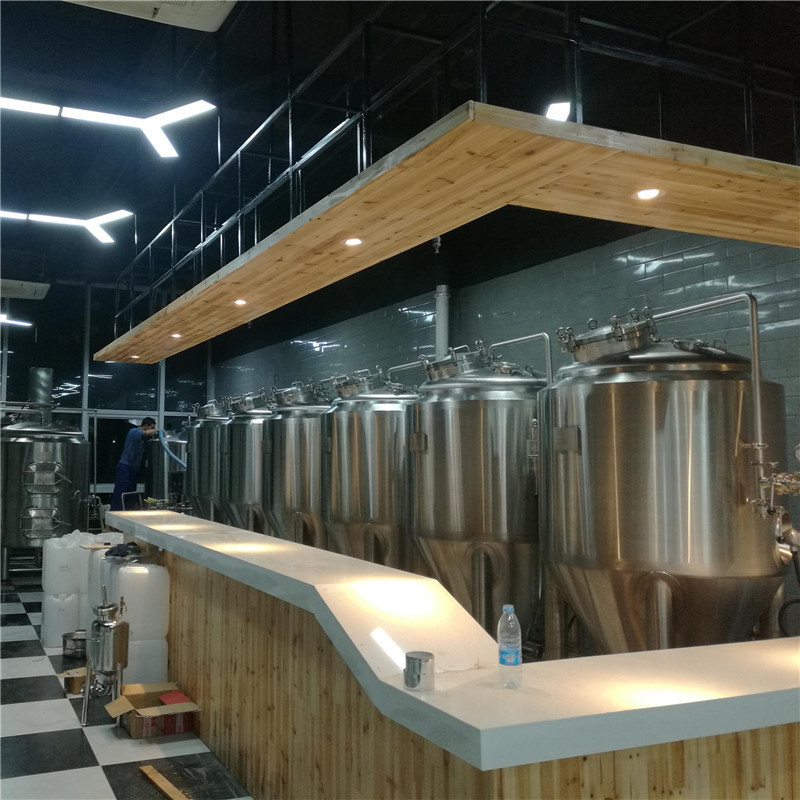 China professional brewpub equipment for sale 