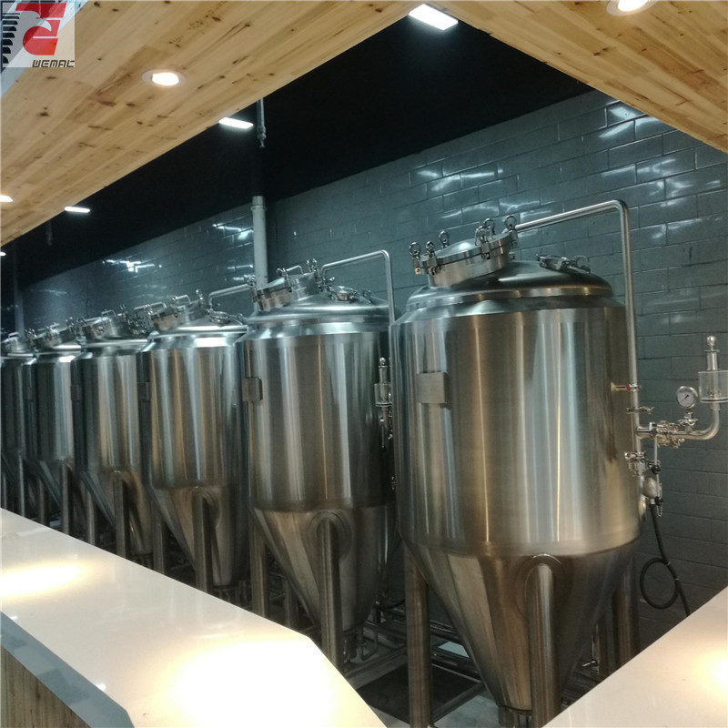 China professional craft beer brewing equipment manufacturer