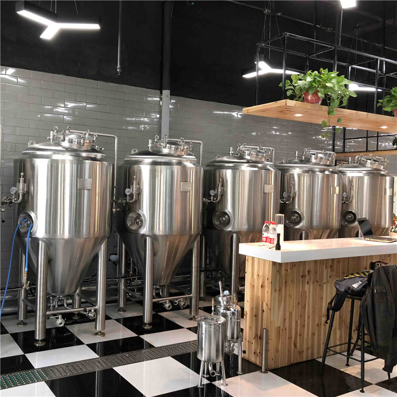 Norway professional craft beer brewing equipment of stainless steel from China manufacturers W1