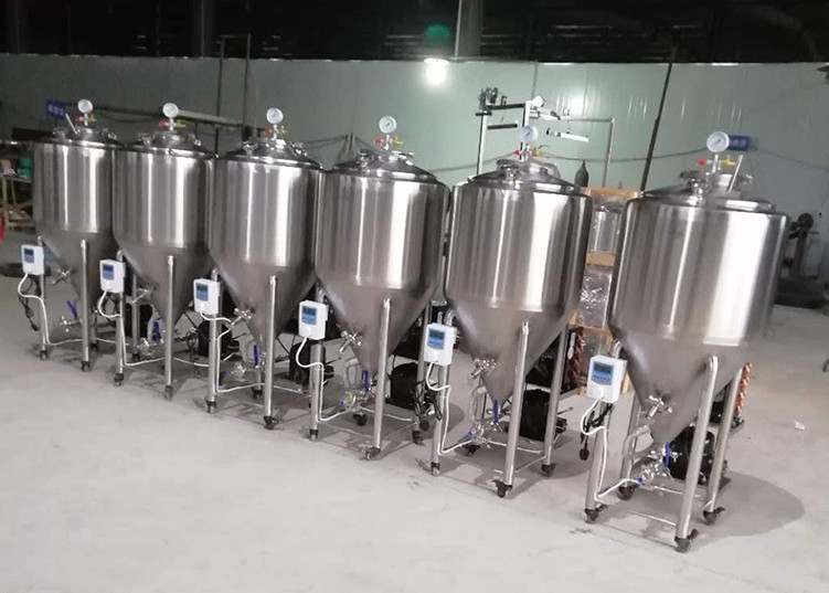 China supplier 50L professional mini beer brewing equipment of SUS304 to US 2020 W1