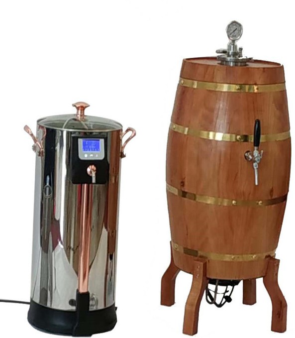 US DIY automated home beer brewing equipment of stainless steel for beer enthusiasts from China factory 2020 W1