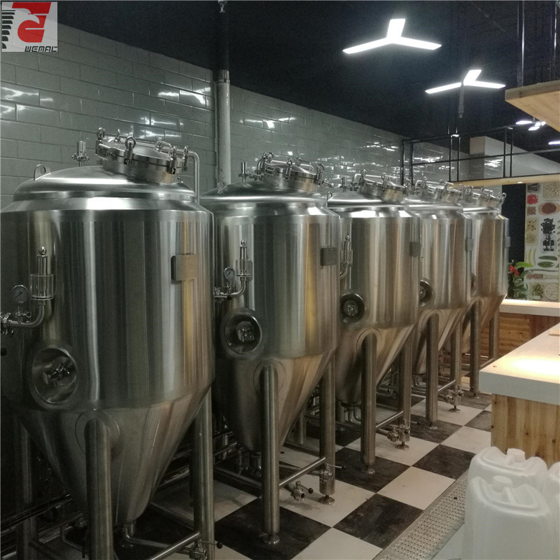 China small beer brewing systems manufacturer