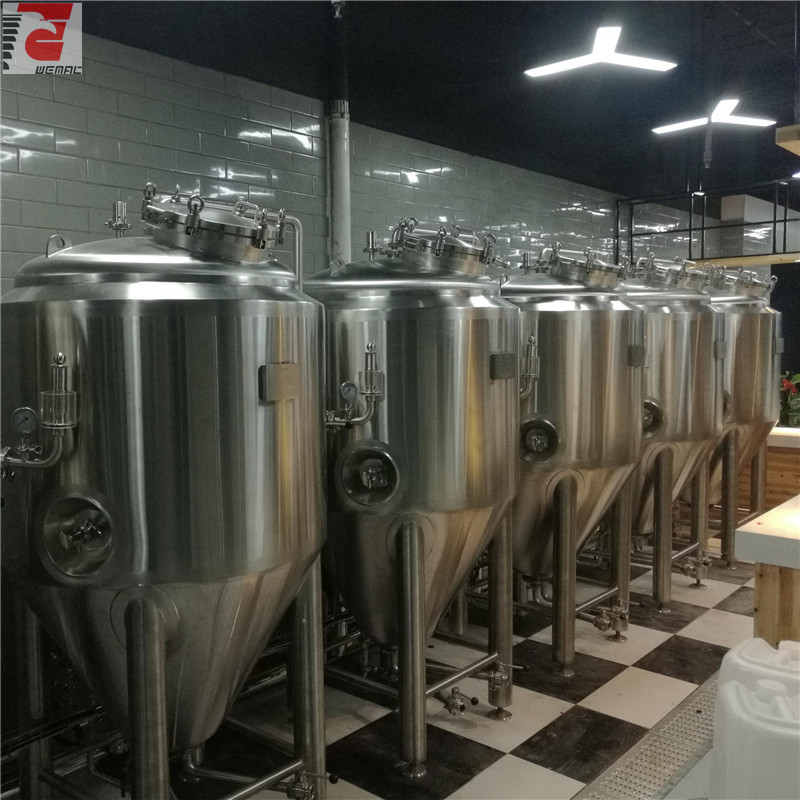 Small scale brewing systems and microbrewery plant cost 