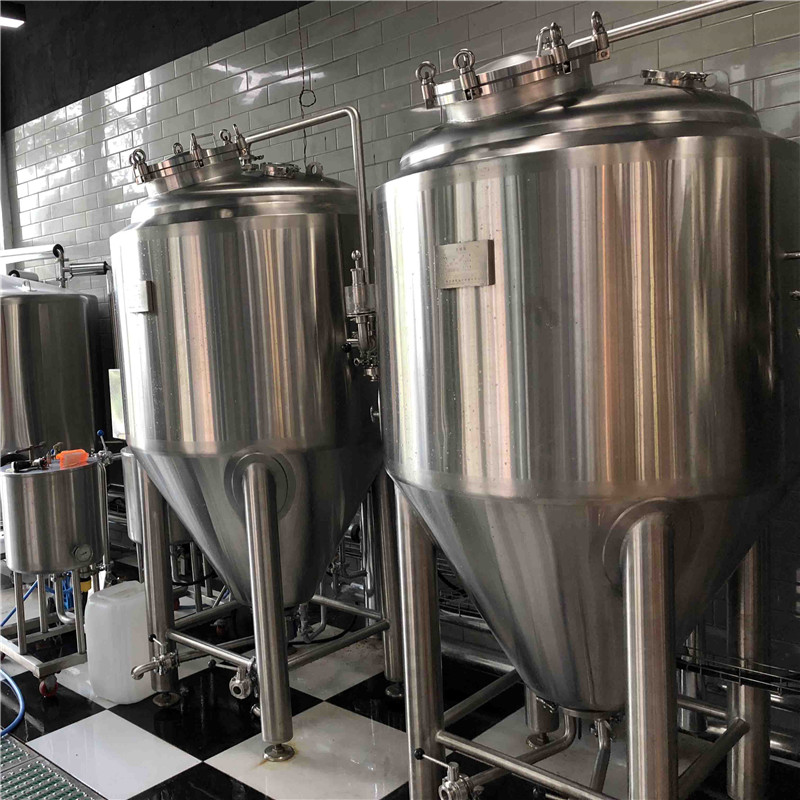 500L nano brewery equipment for sale china factory sale in Europ WEMAC G068